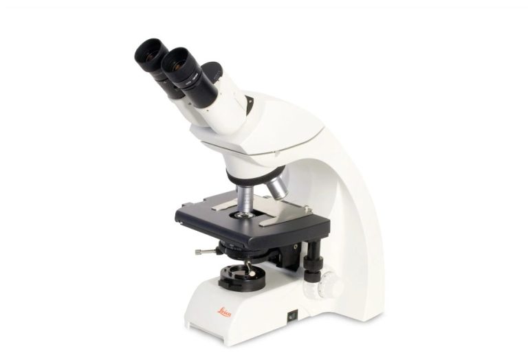 Compound Microscope